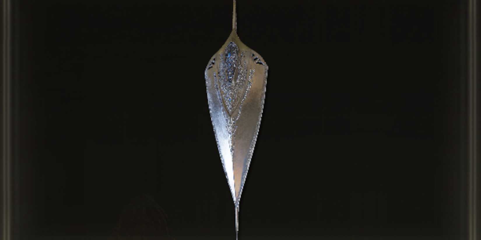 Carian Thrusting Shield picture in inventory in Elden Ring-5