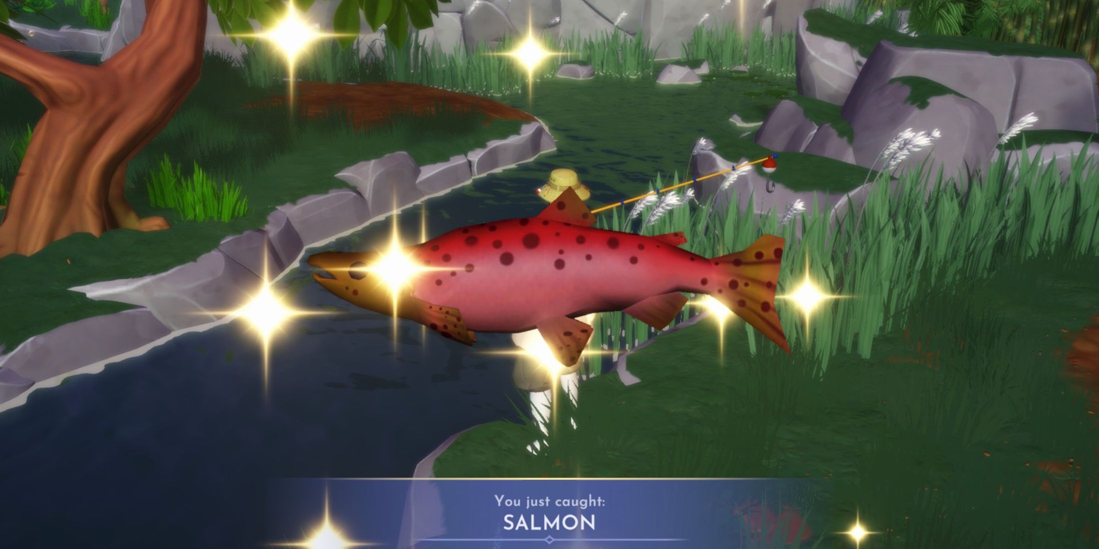 Catching salmon ddv