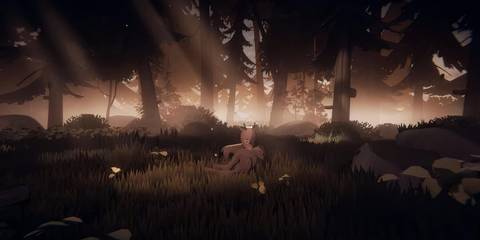 Deer Mourns Deer and Boy