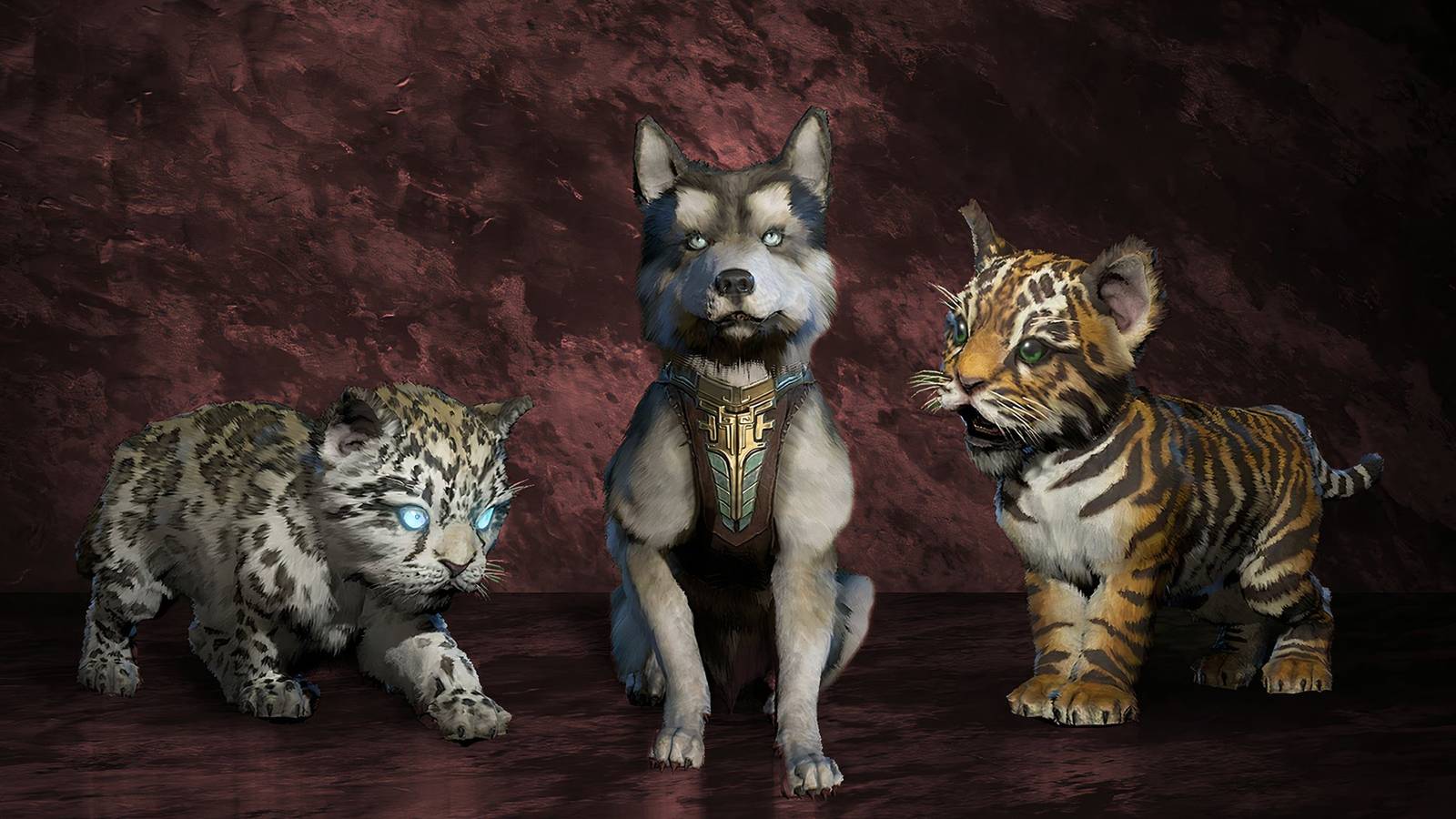 diablo-4-how-get-pet