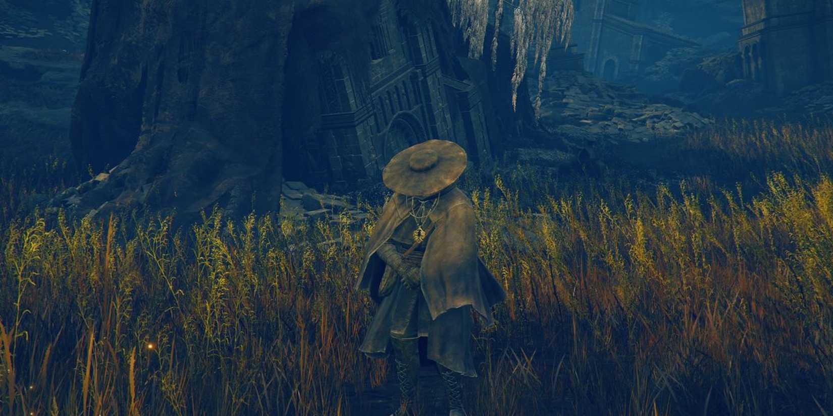 DryleafDaneEldenRing