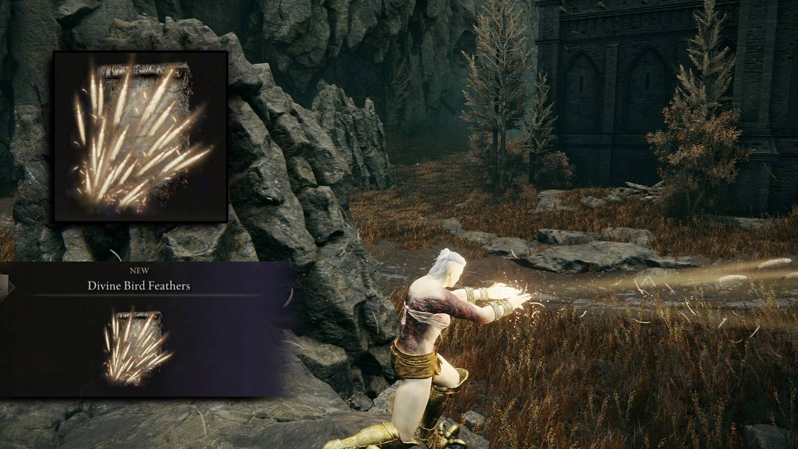 Elden Ring - Divine Bird Feathers Incantation Guide Header Image