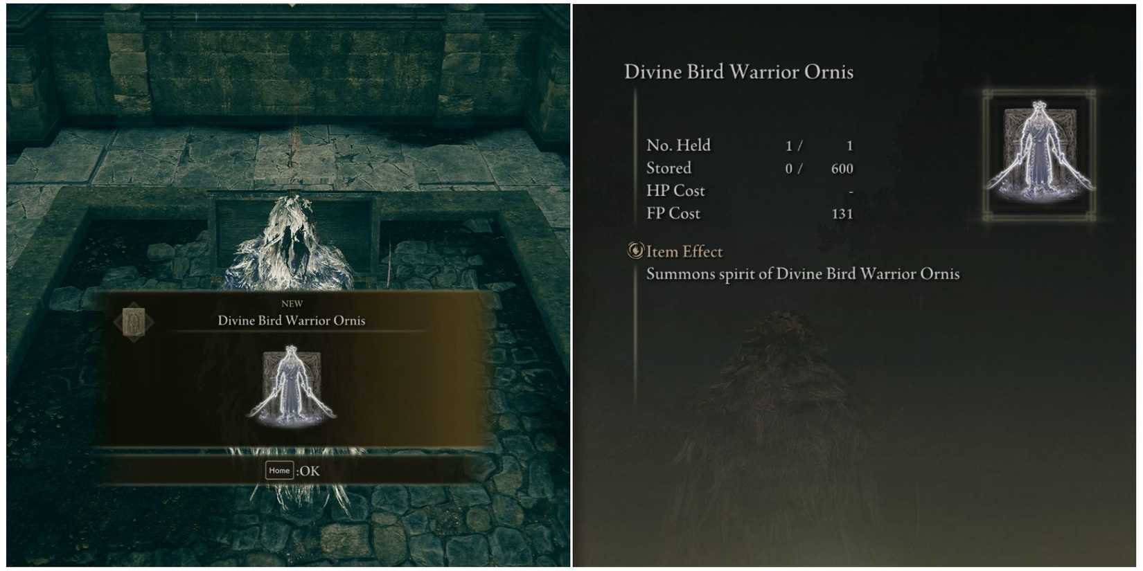 Location and inventory entry for Divine Bird Warrior Ornis in Elden Ring: Shadow of the Erdtree.