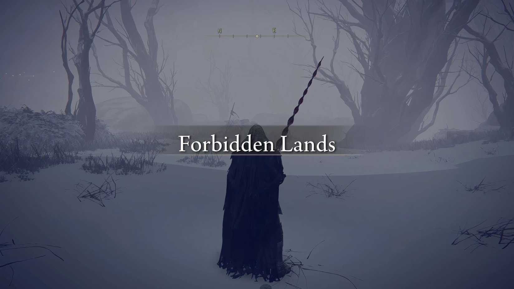 Elden Ring -  Forbidden lands