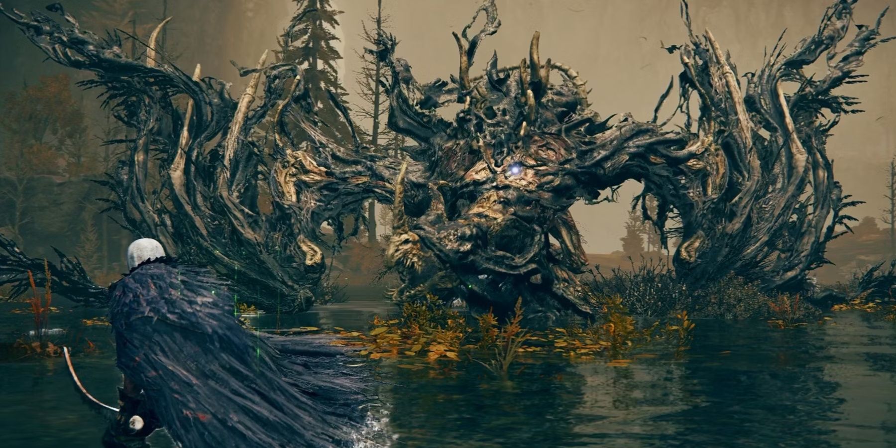 Elden Ring Shadow Of The Erdtree: Best Boss Fights In Gravesite Plain