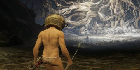 elden-ring-let-me-solo-her-arena