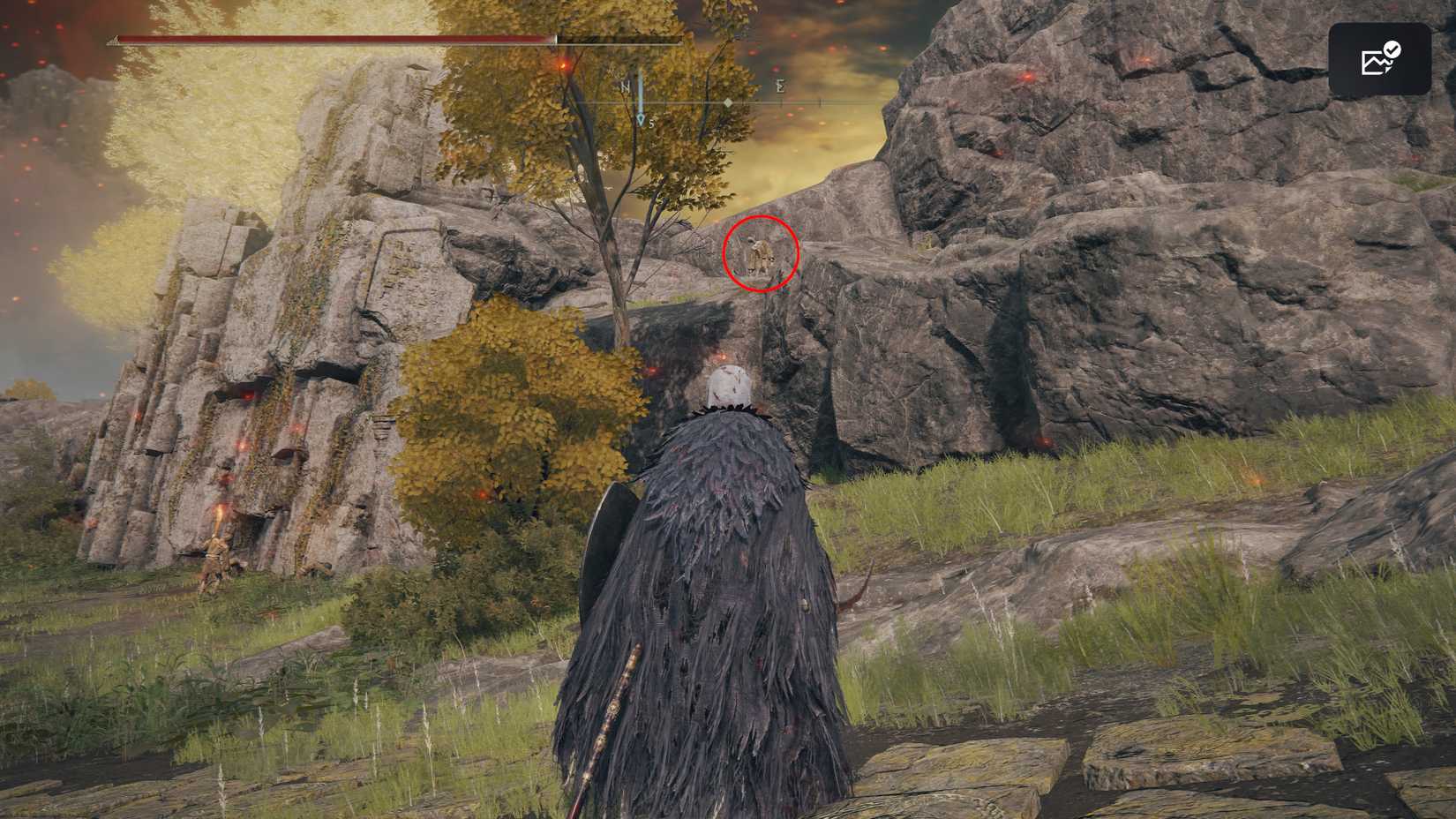 Lesser Runebear Elden Ring: All Larval Tear Locations