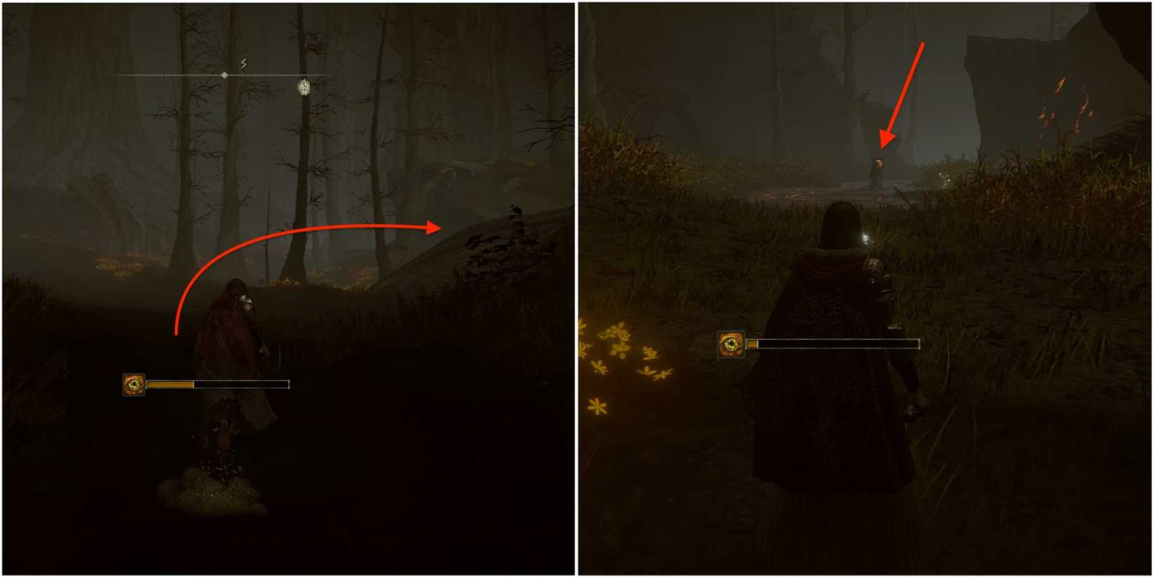 Elden Ring - Shadow Of The Erdtree - Aging Untouchable