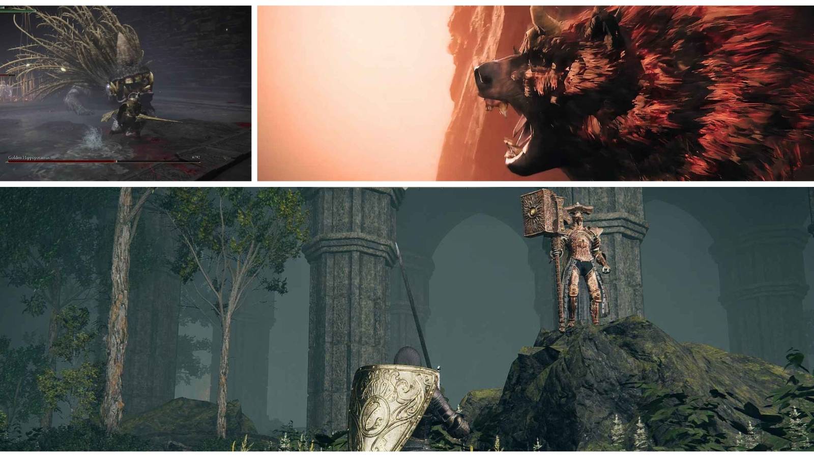 A split image of bosses in the Ancient Ruins of Rauh in Elden Ring Shadow of the Erdtree