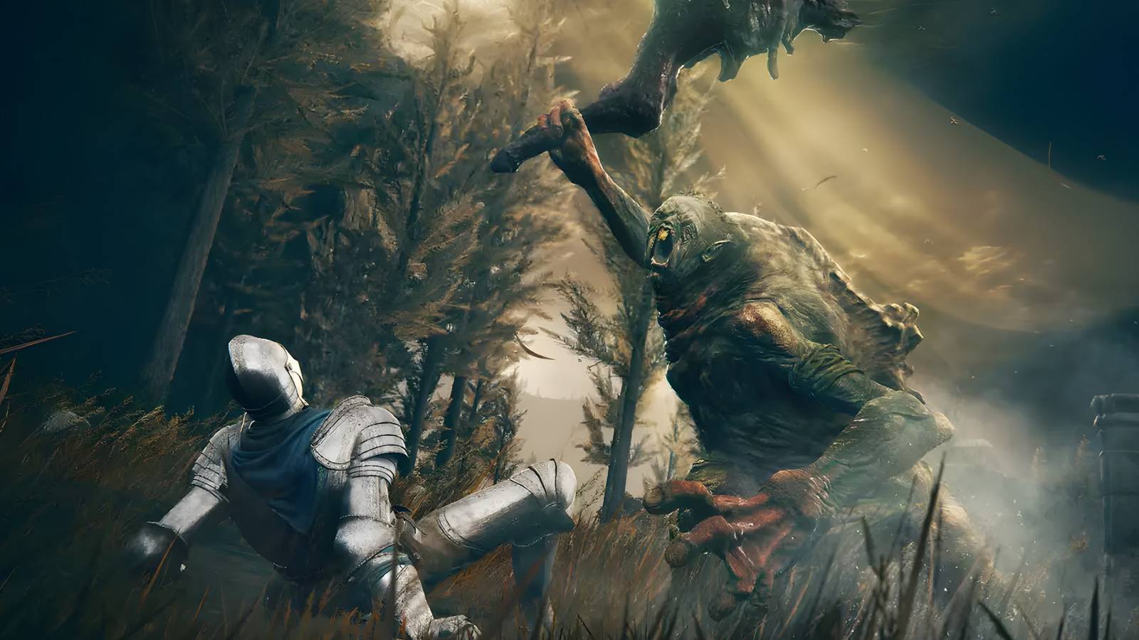 Elden Ring Shadow of the Erdtree Fight