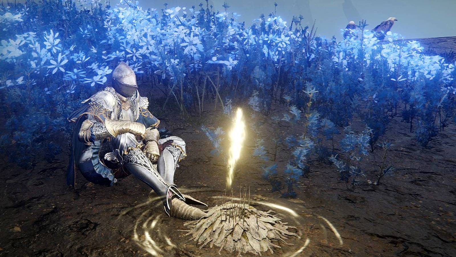 elden-ring-shadow-of-the-erdtree_cerulean-coast-grace