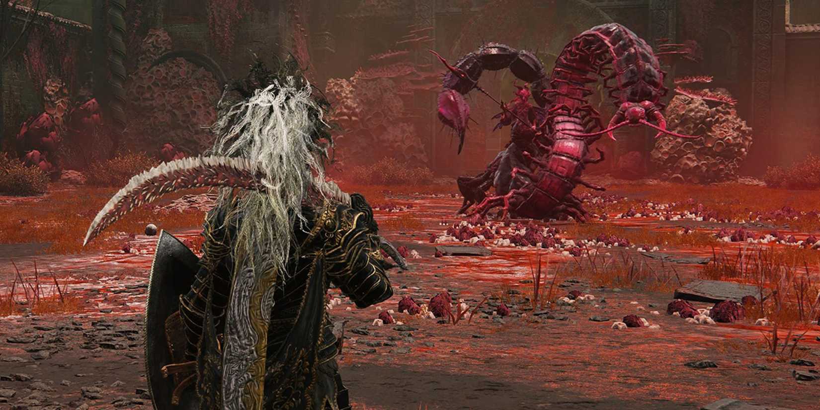 Romina in Elden Ring Shadow of the Erdtree