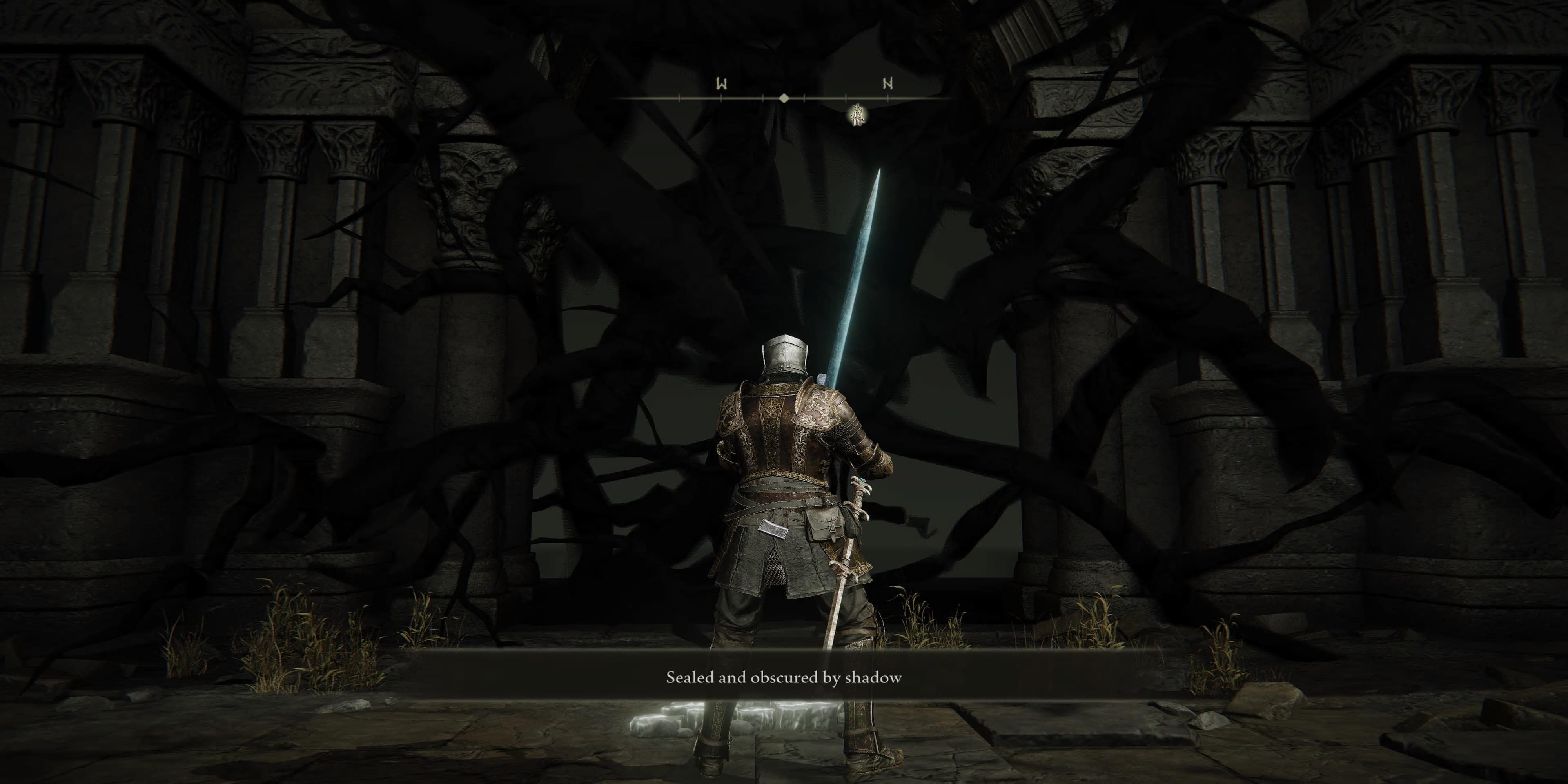 The Player Facing The Shadows
