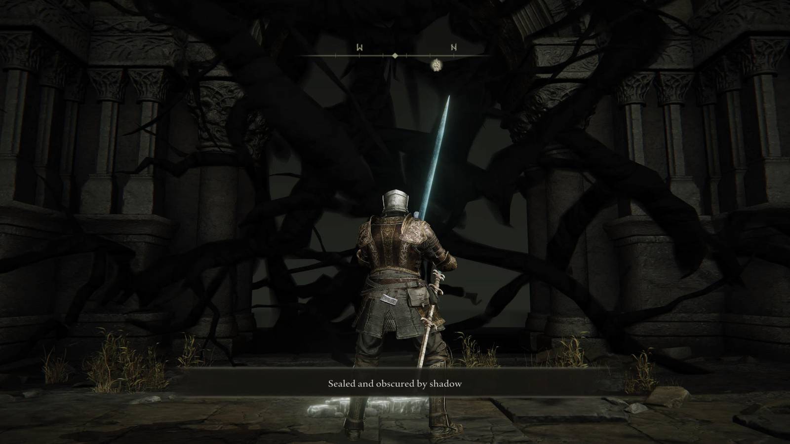The Player Facing The Shadows