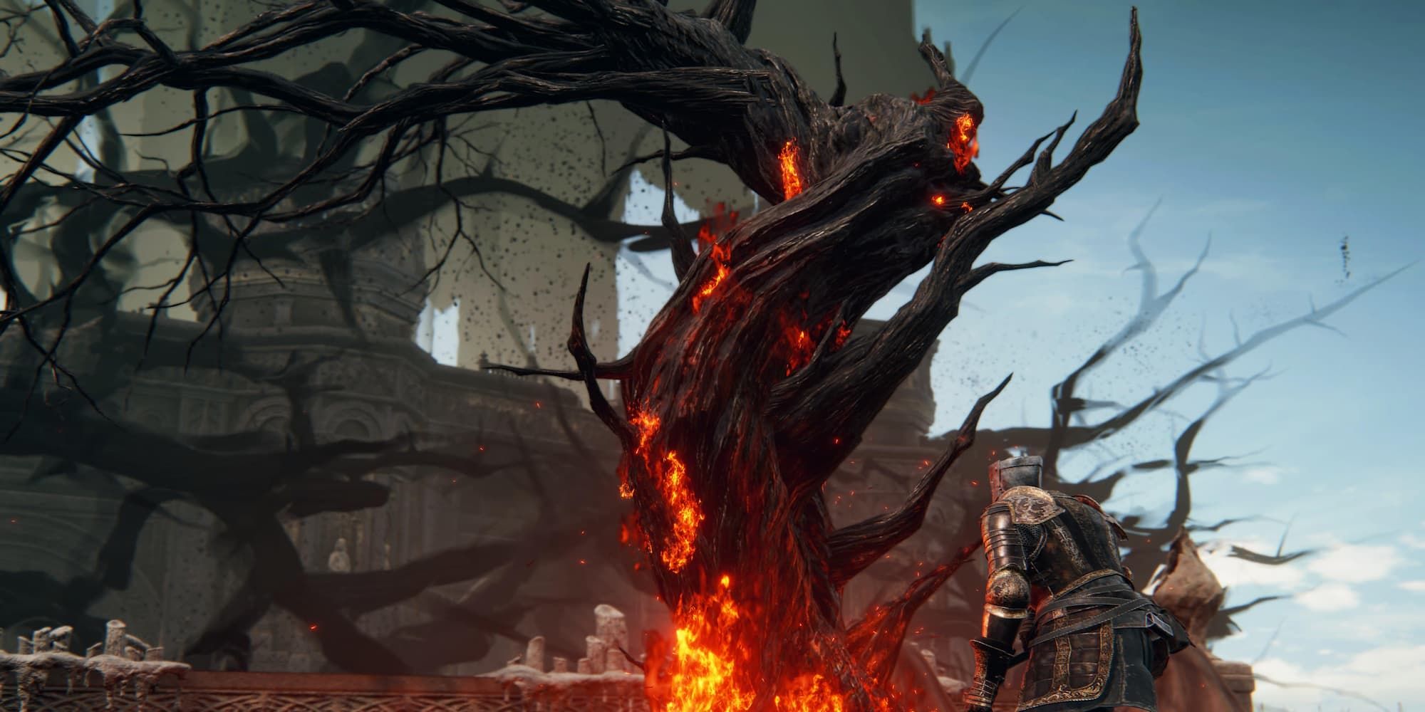 Should You Burn The Sealing Tree In Elden Ring: Shadow Of The Erdtree