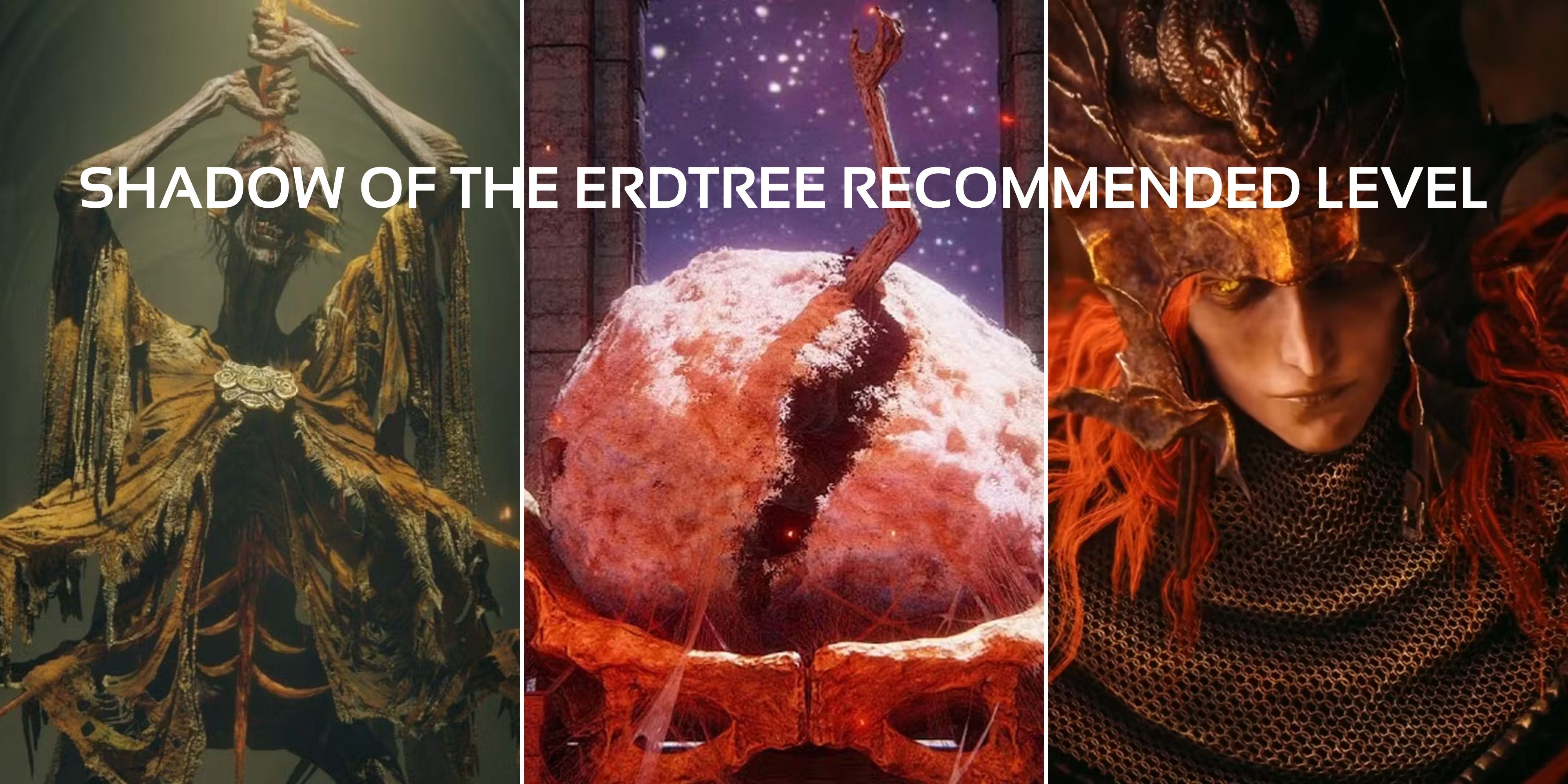 Elden Ring What Level Should You be for Shadow of the Erdtree DLC feature image