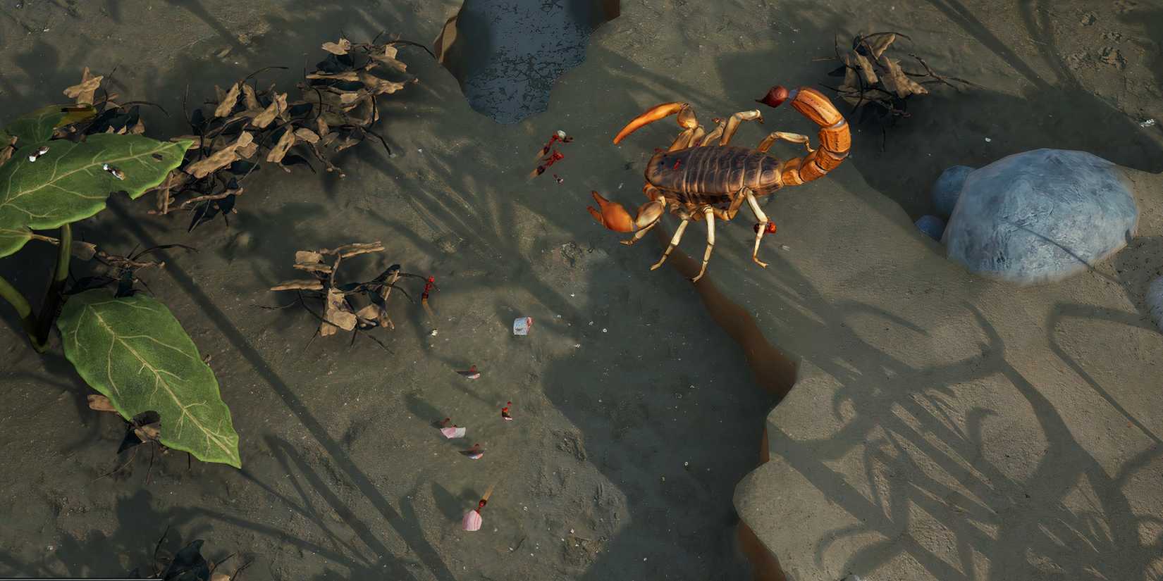 Empires of the Undergrowth Beginner Tips Surface