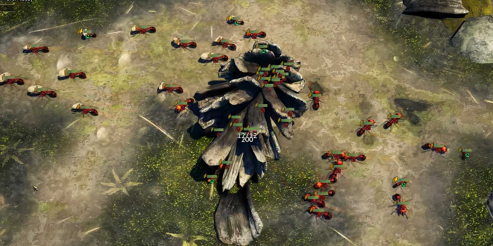 Empires of the Undergrowth Best Ant Species Fire Ants