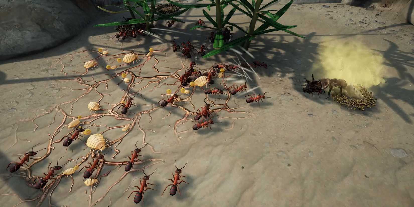 Empires of the Undergrowth Best Ant Species Wood Ant