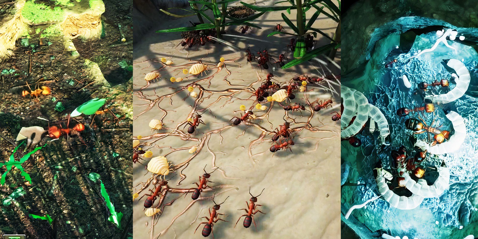 Empires of the Undergrowth Best Ant Species