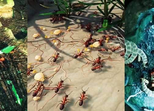 Empires of the Undergrowth Best Ant Species