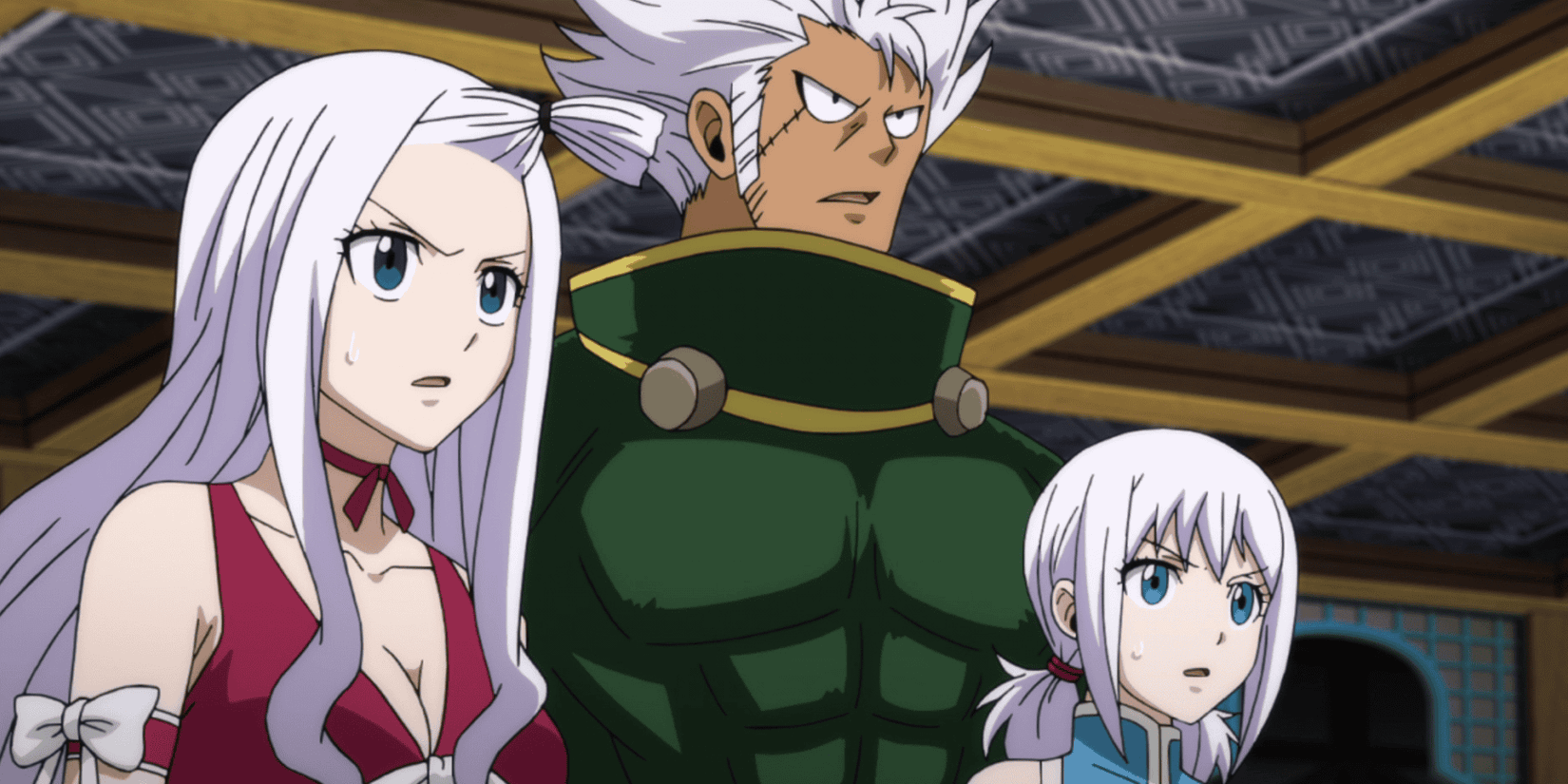 Fairy Tail Strauss Family
