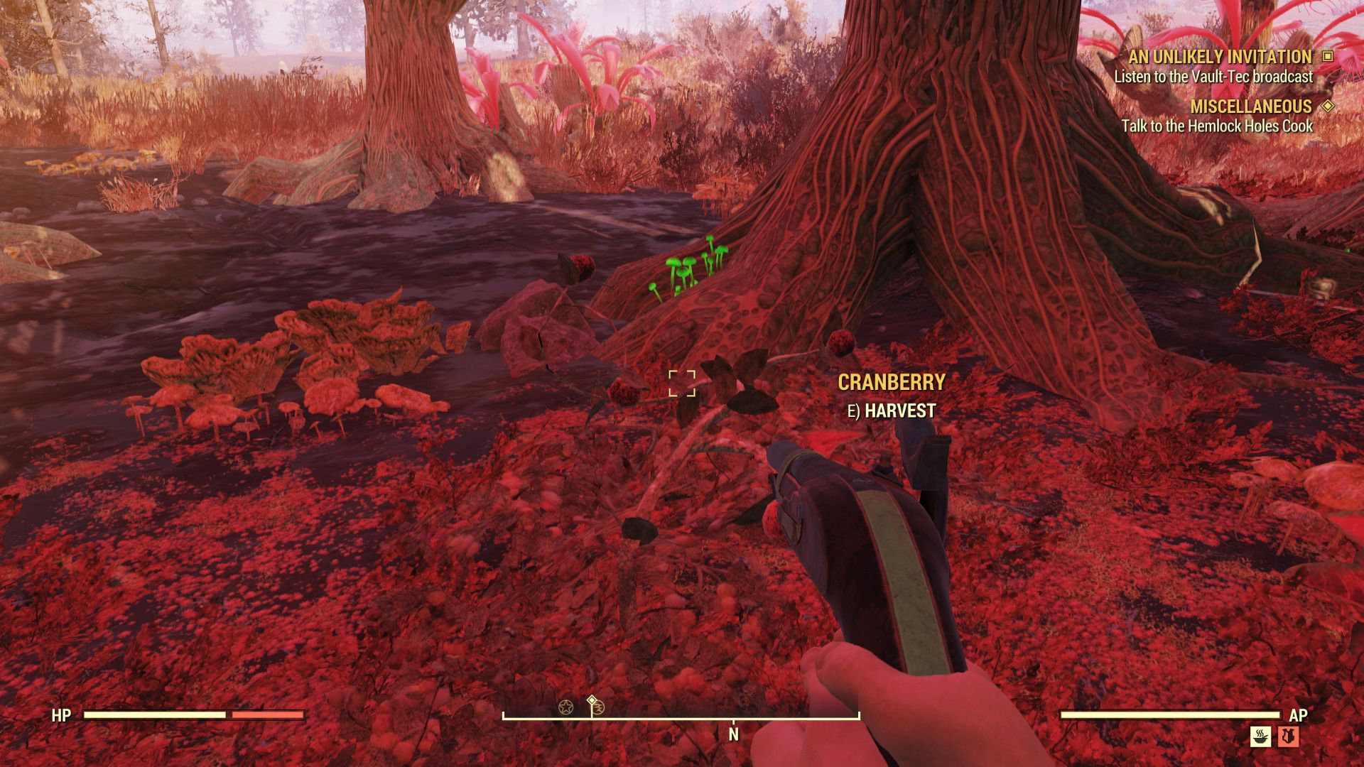 Where to Find Cranberries in Fallout 76