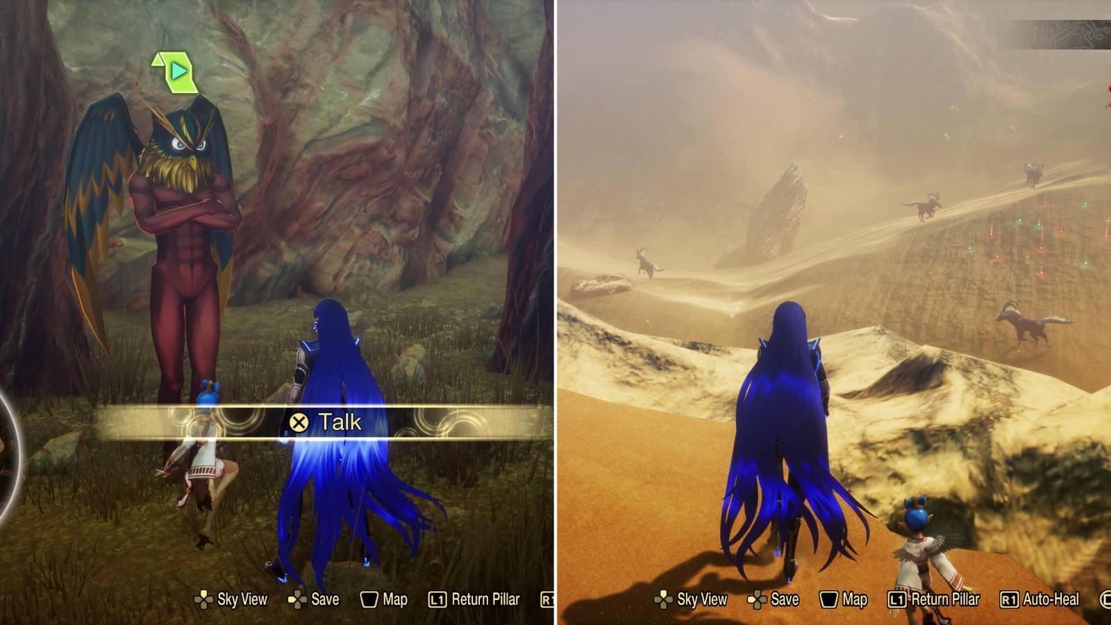 The Player Talking To Andras & Standing Over A Plane Of Bicorn