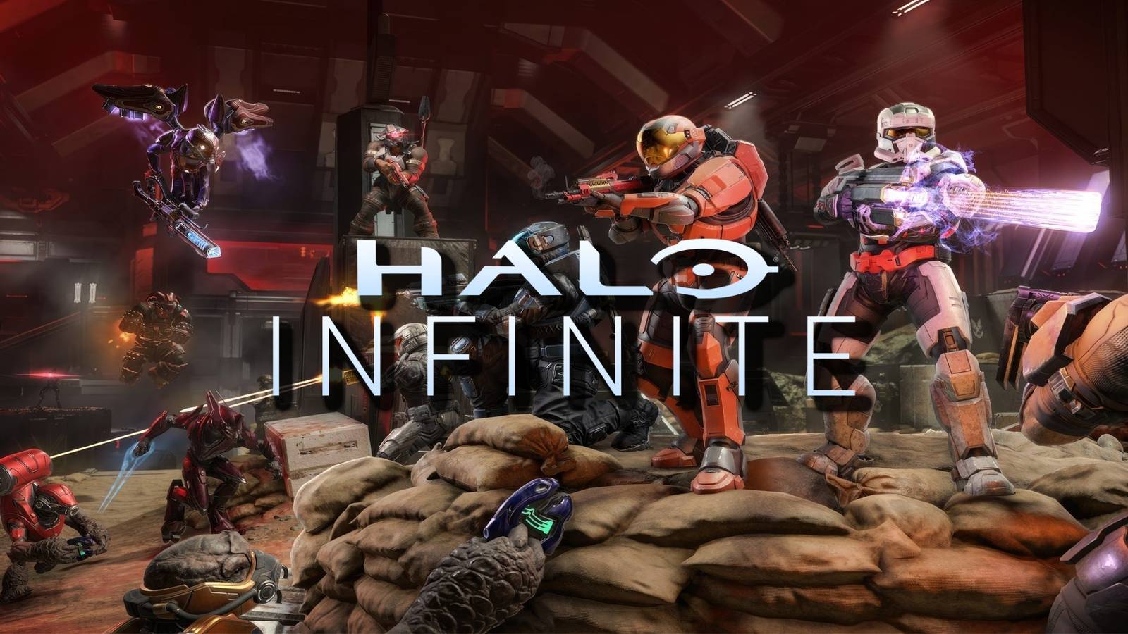 halo infinite forge battle royale