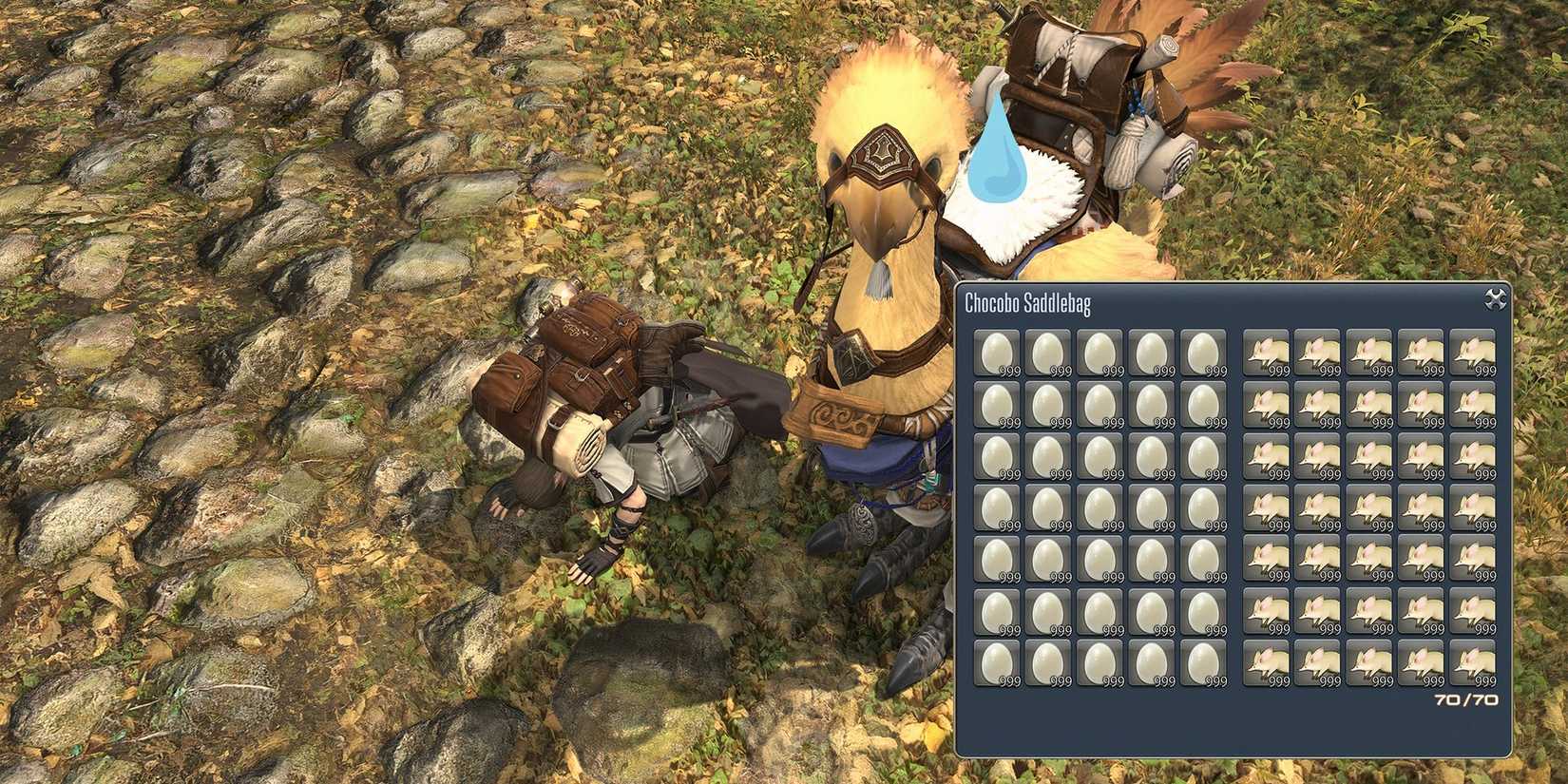 final fantasy 14 chocobo saddlebag full inventory