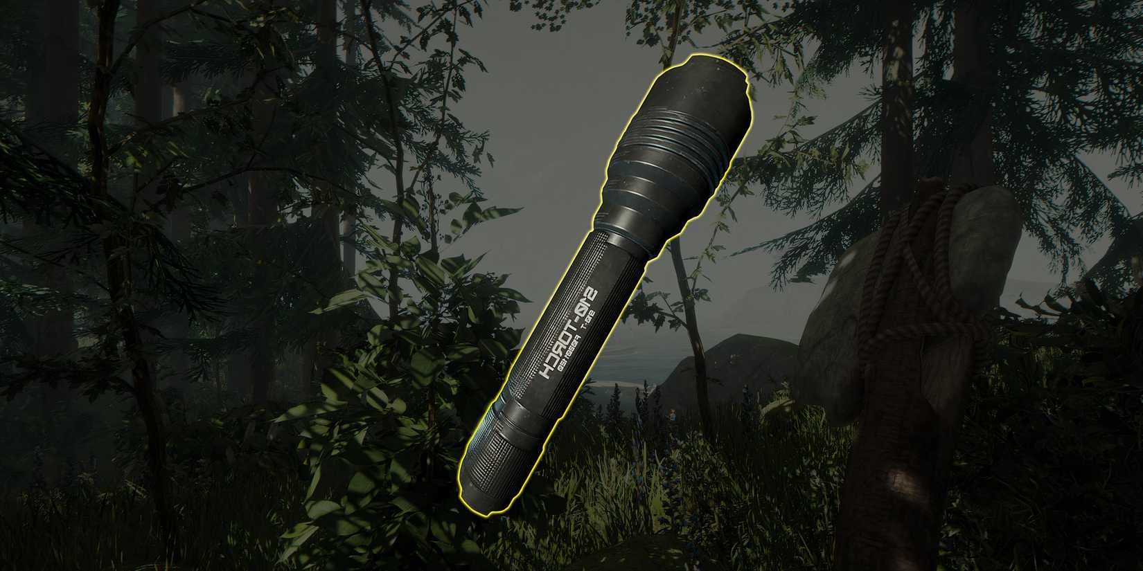 Forestud Light The Forest: Best Light Sources