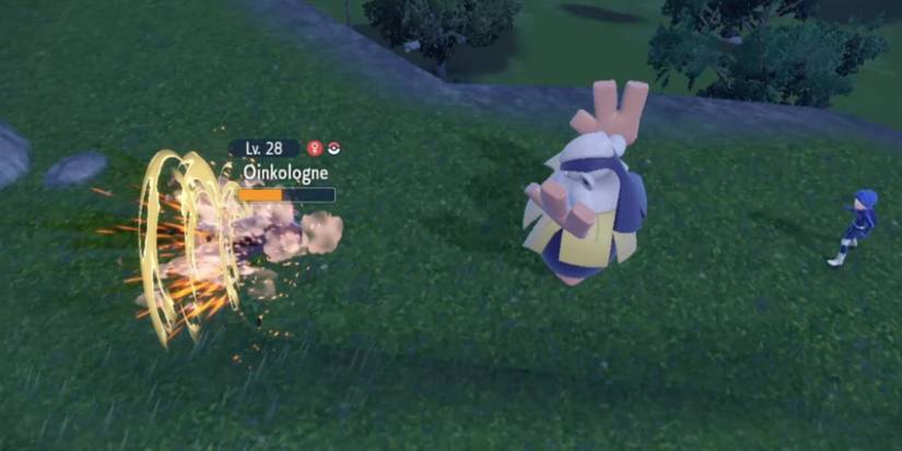 Hariyama using Focus Punch in battle