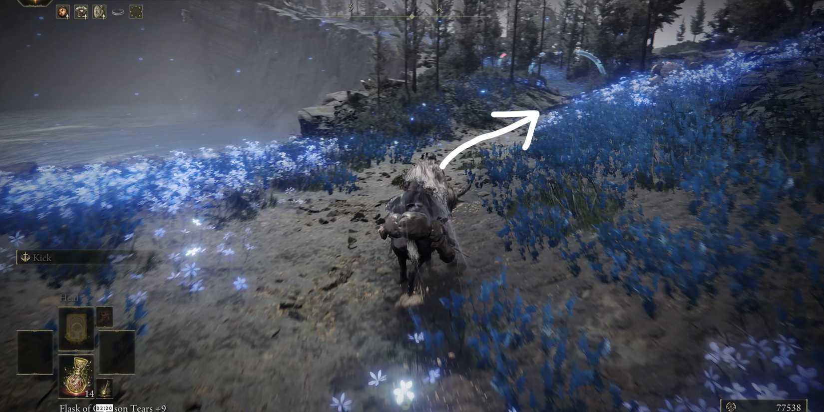 follow this path to reach stone coffin fissure in elden ring shadow of the erdtree dlc in elden ring shadow of the erdtree dlc