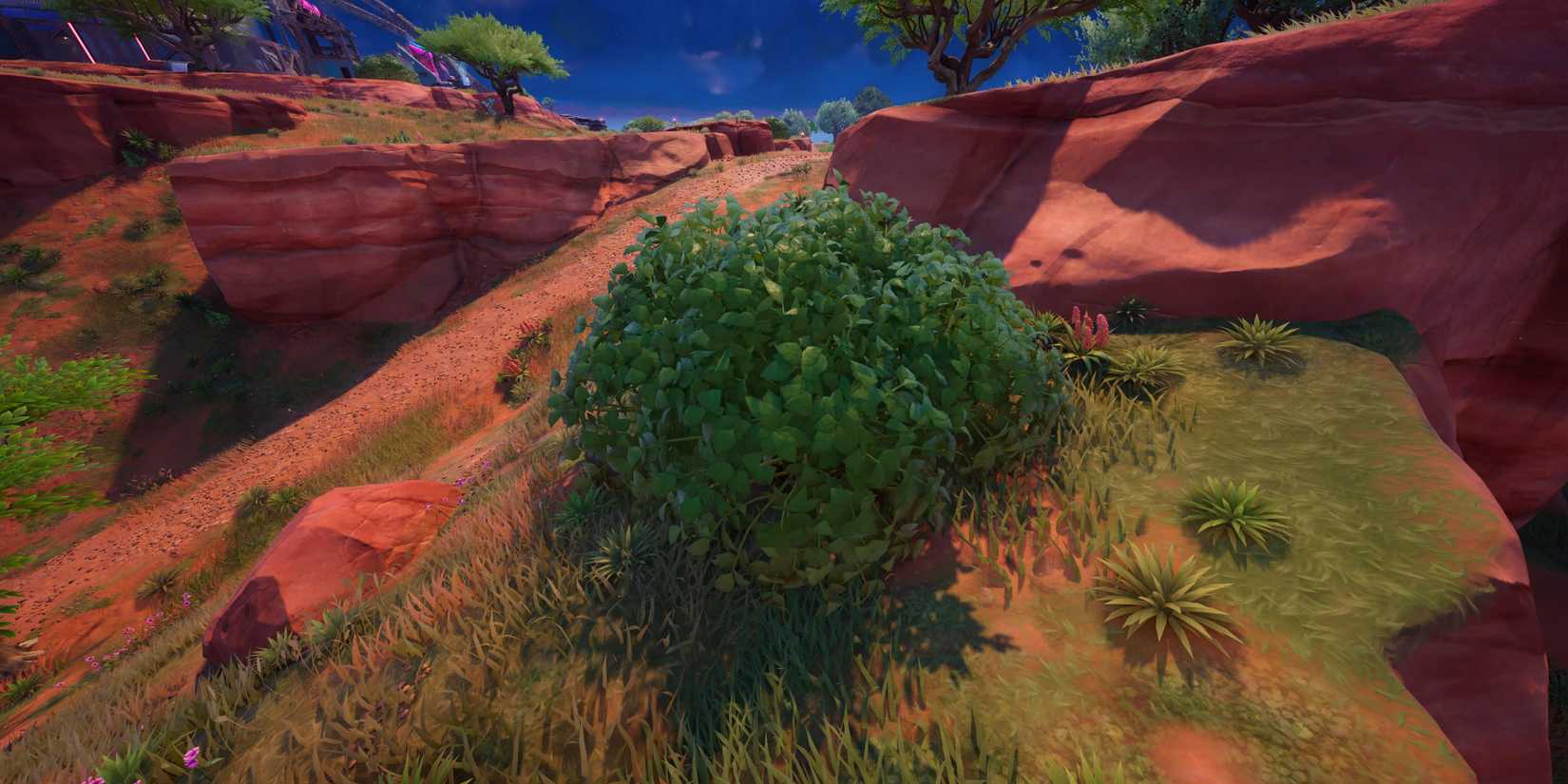 bush camping