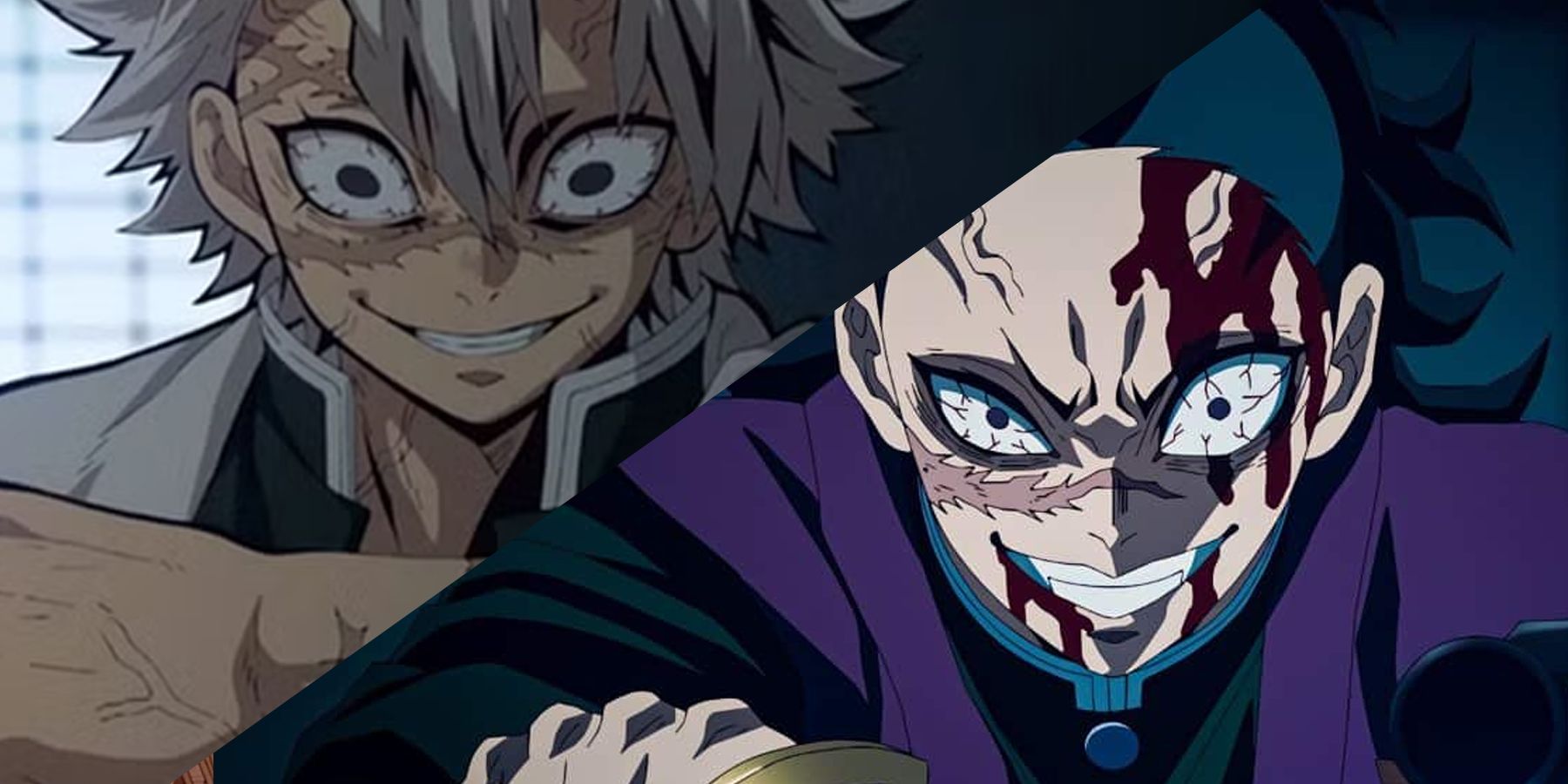 Demon Slayer: The Tragic Past Of The Shinazugawa Brothers, Explained