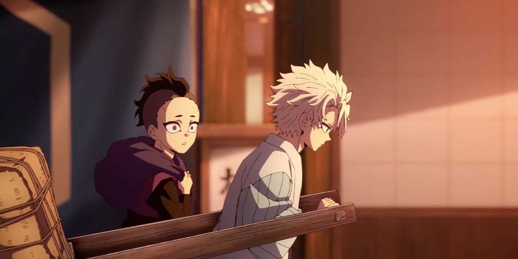 Demon Slayer The Tragic Past Of The Shinazugawa Brothers, Explained