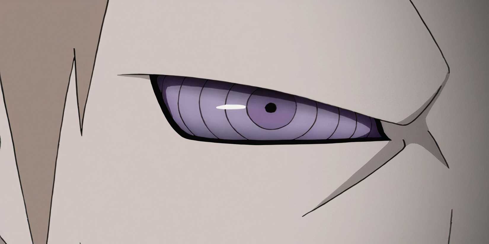 Hagaromo's Rinnegan