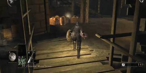 a character roaming around the world in demon's souls