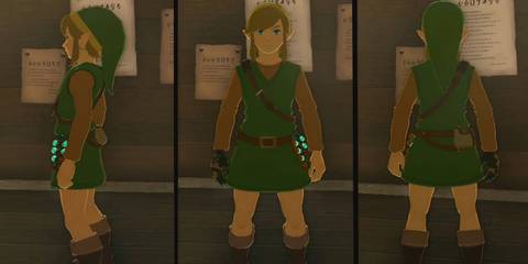 Hero Set in The Legend of Zelda Breath of the Wild