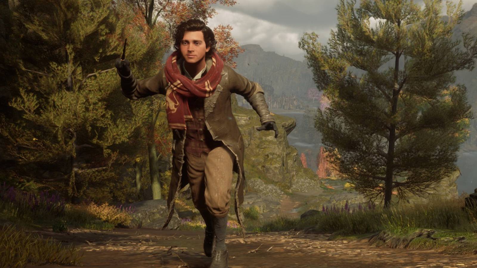 Hogwarts Legacy Wizard