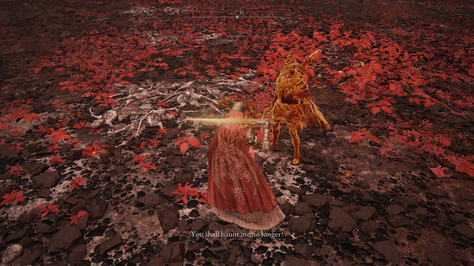 Fighting Bayle the Dread in Elden Ring Shadow of the Erdtree