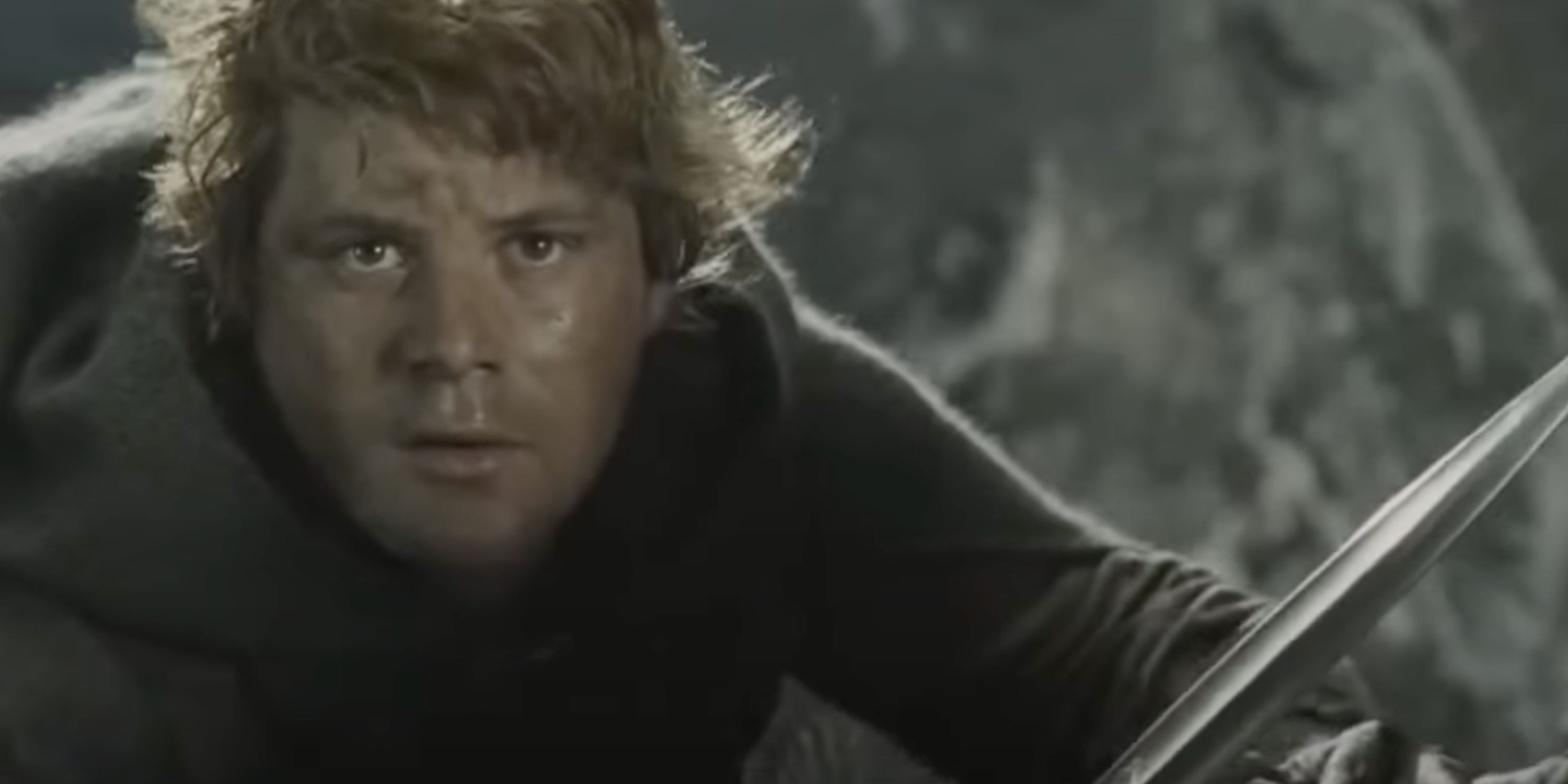 sam looking straight ahead in the lord of the rings the return of the king