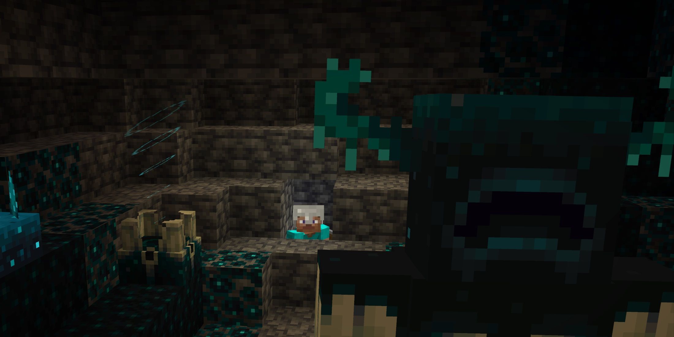 Minecraft Warden In A Cave