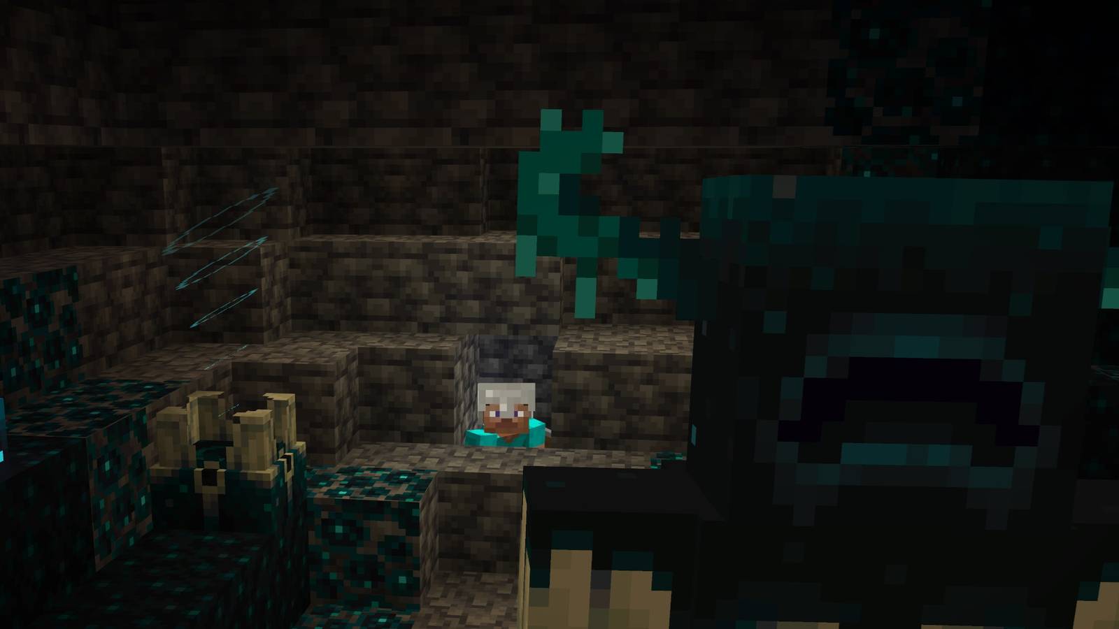 Minecraft Warden In A Cave