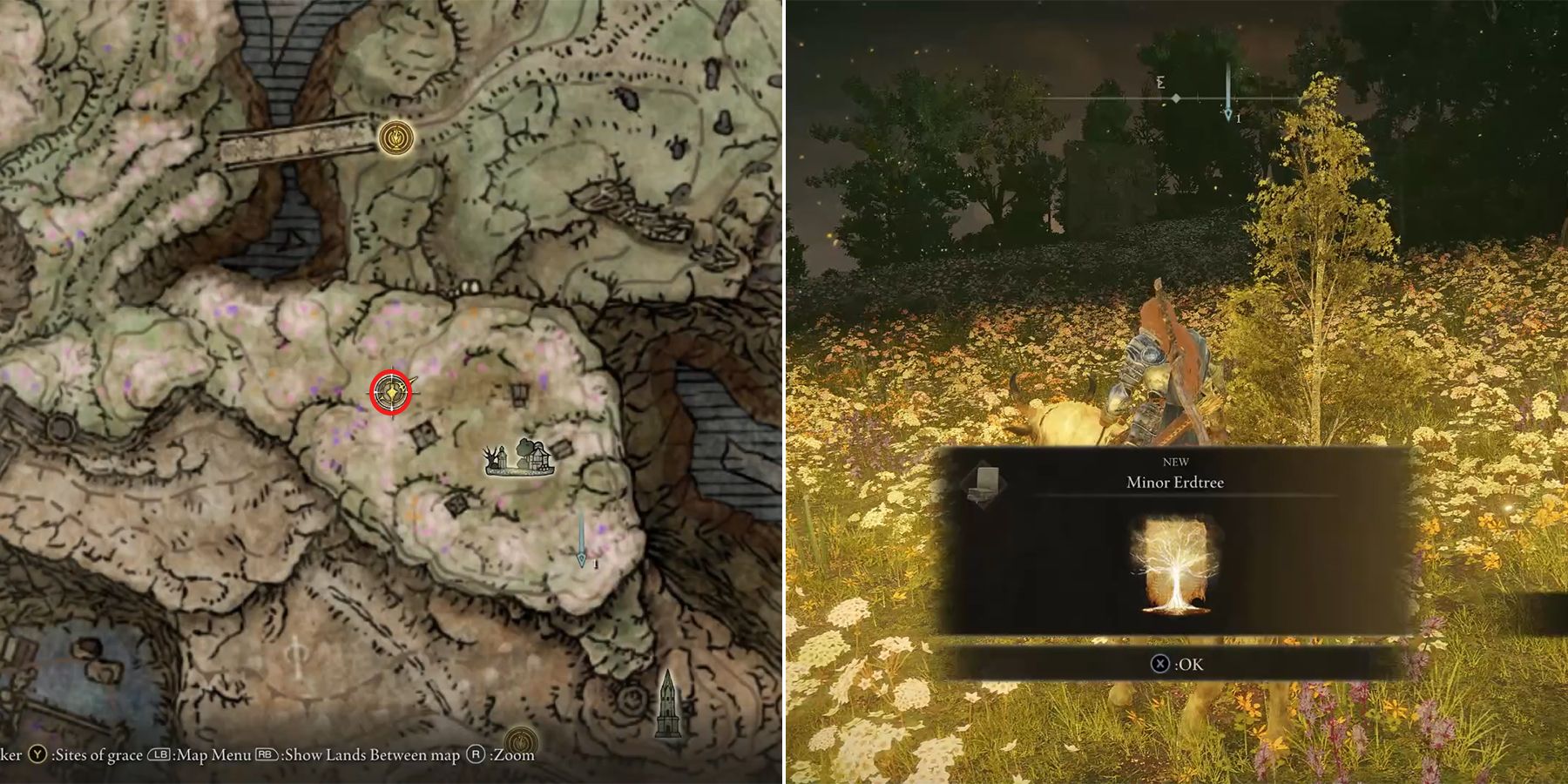 How To Get Minor Erdtree Healing Incantation - Elden Ring: Shadow 