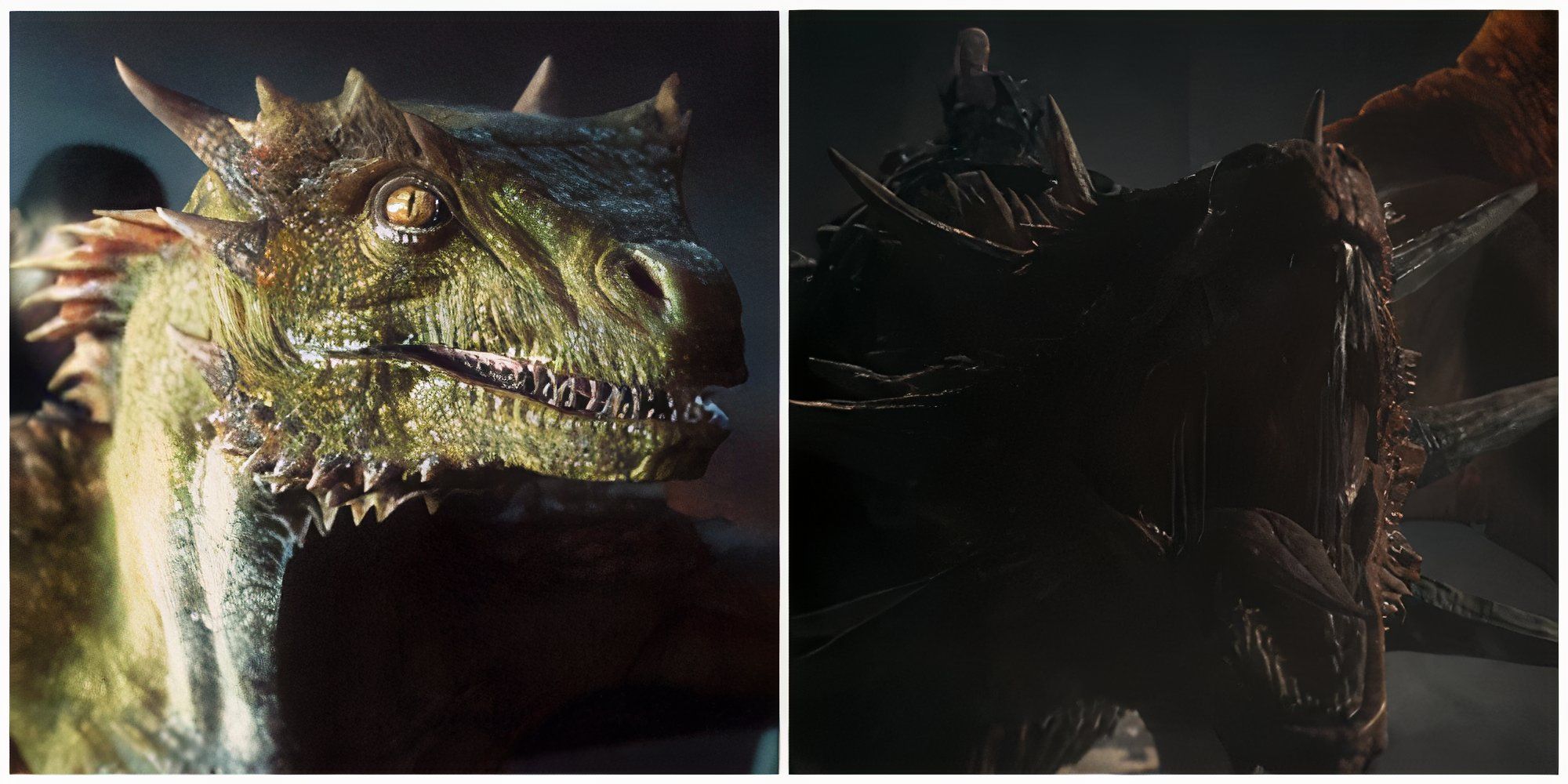 Split image of Vermax Princess Rhaenys and Meleys House of the Dragon.