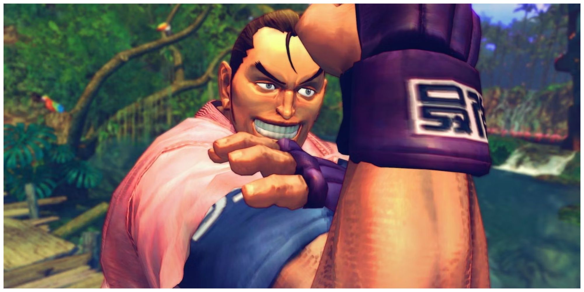 Dan Hibiki holding his arm to showcase his muscle in Street Fighter 4