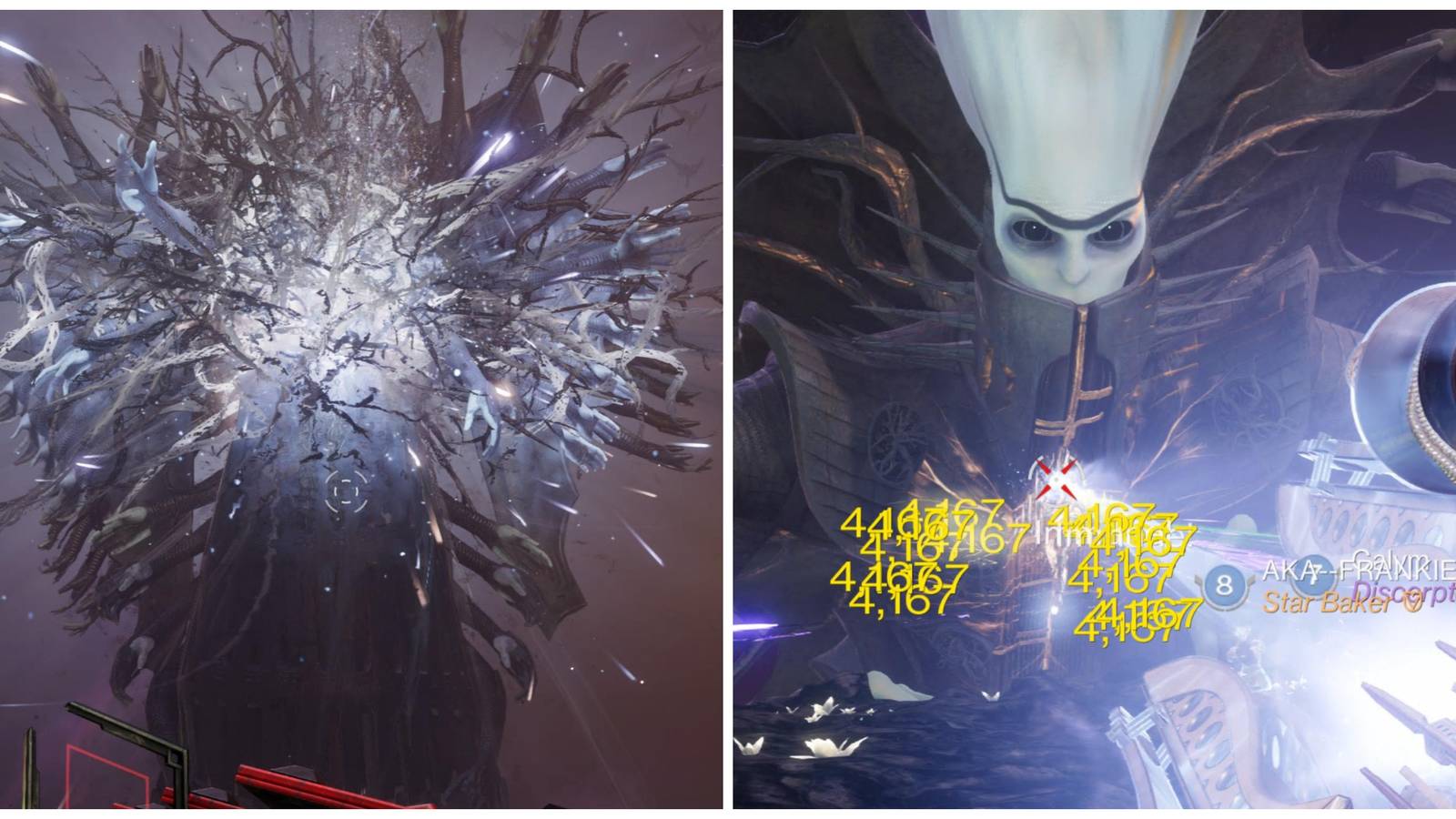 beating the witnessing in excision