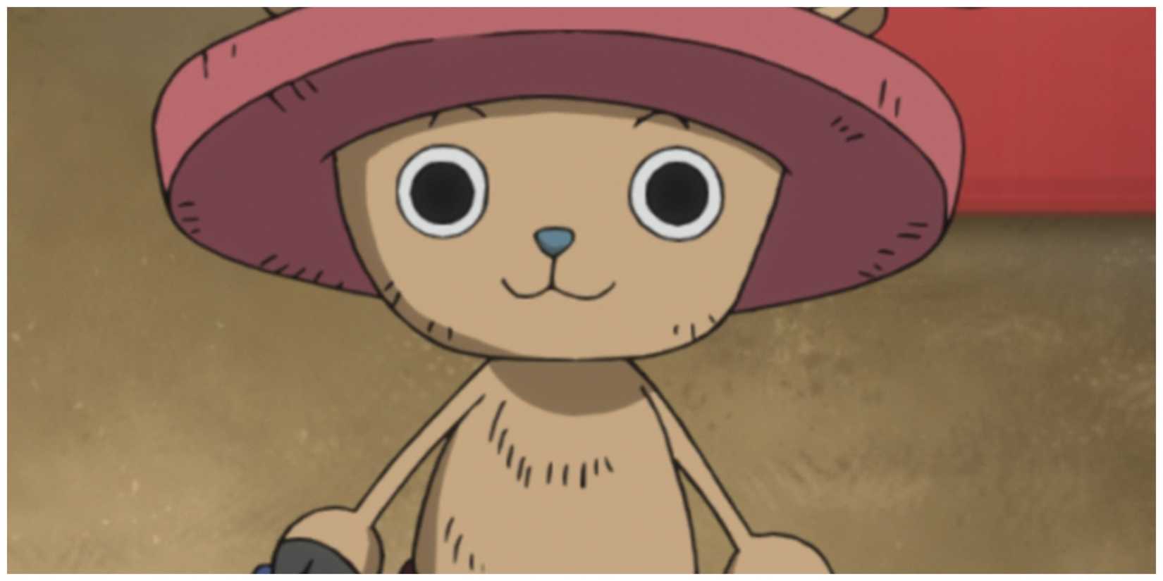 Chopper, user of the human-human fruit