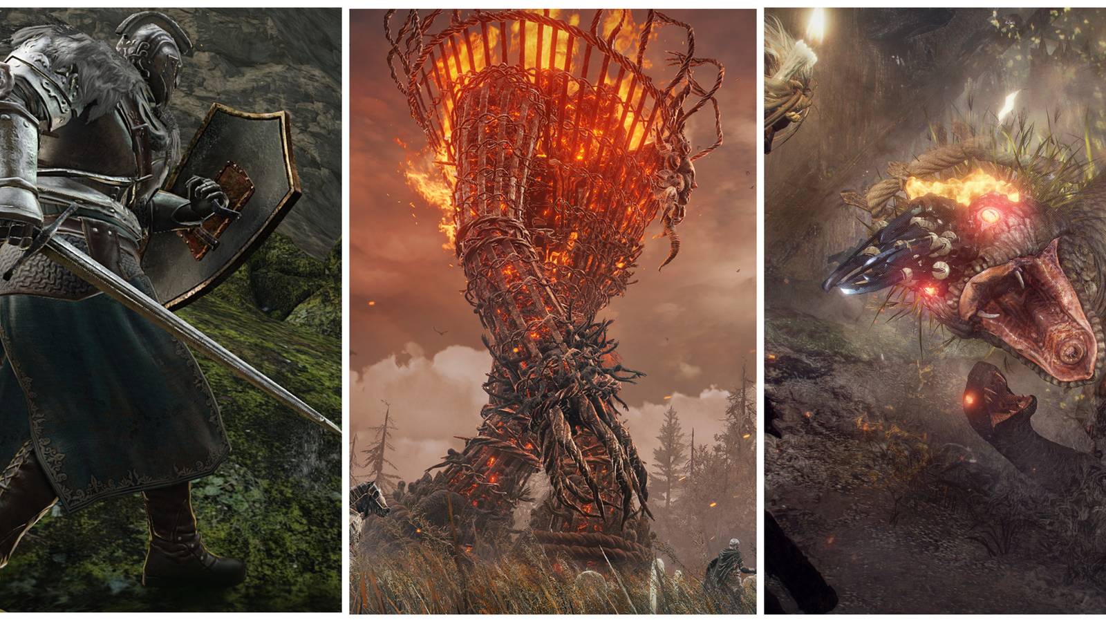 Dark Souls 2 Elden Ring and Nioh 2